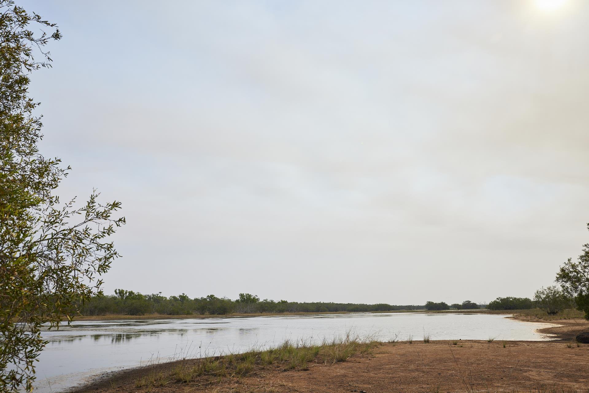 Wetlands Image